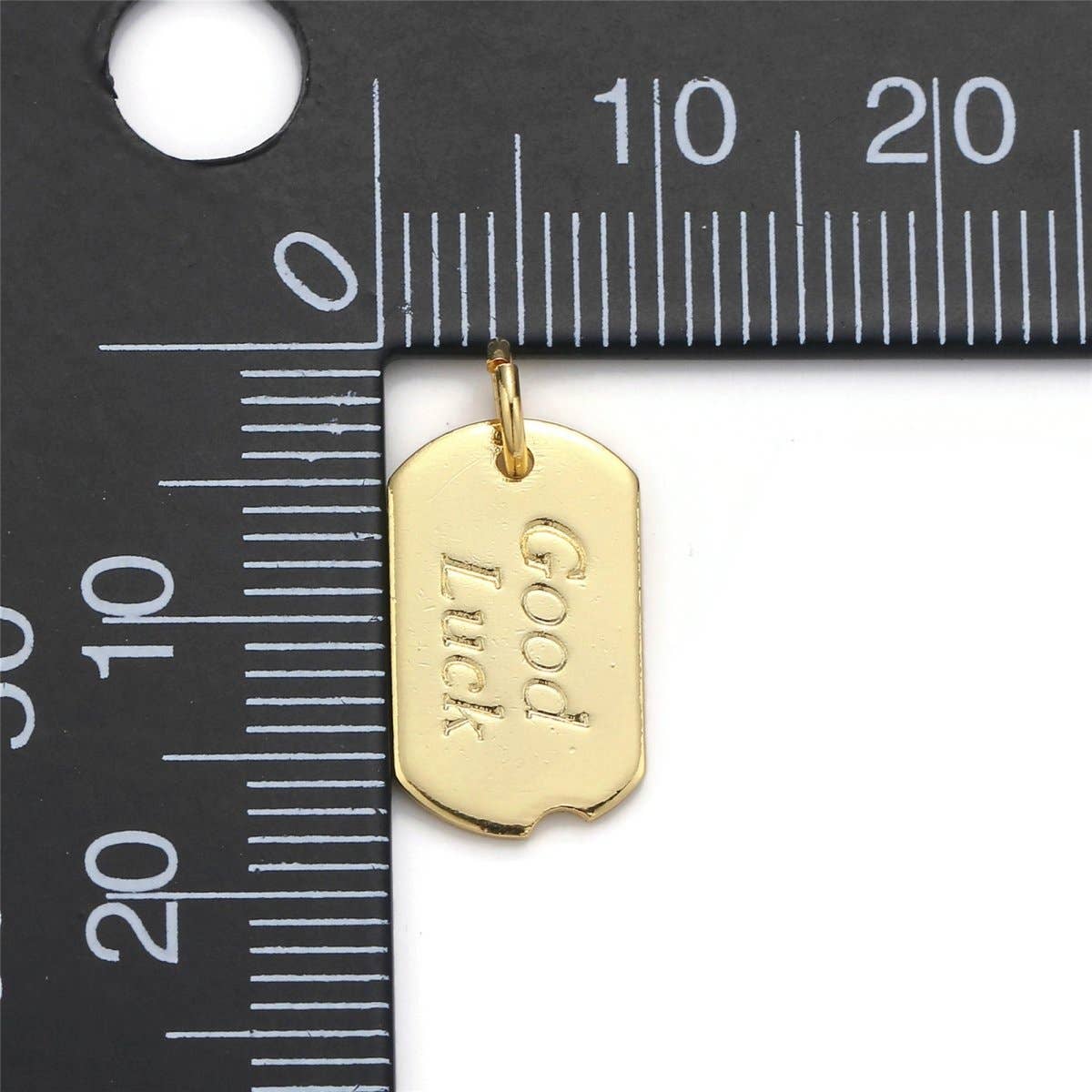 24k Gold Filled Good Luck Charm, Bar Plate