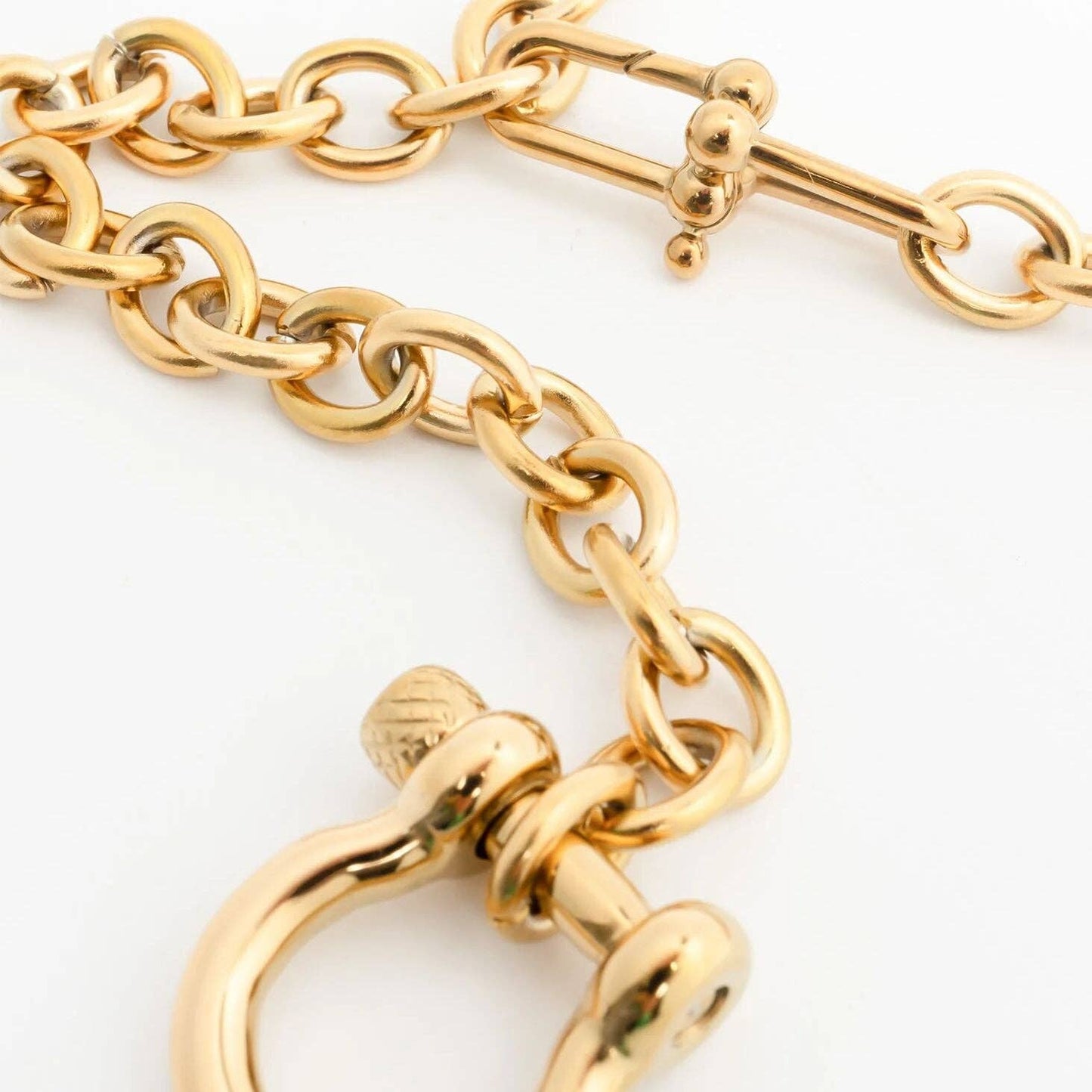 Gold Stainless Steel Y Necklace with Horse shoe Carabiner: Gold