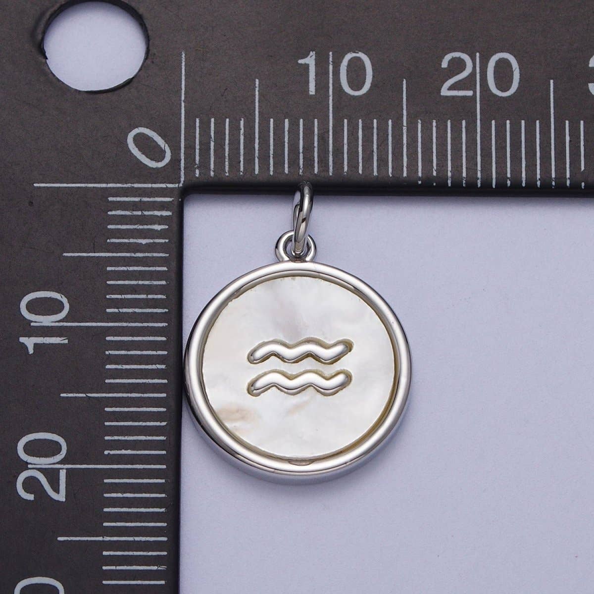 White Gold Filled Zodiac Signs Shell Pearl Round Coin Astrology Horoscope Silver Charm | A-A1731-A-A1736: Pisces