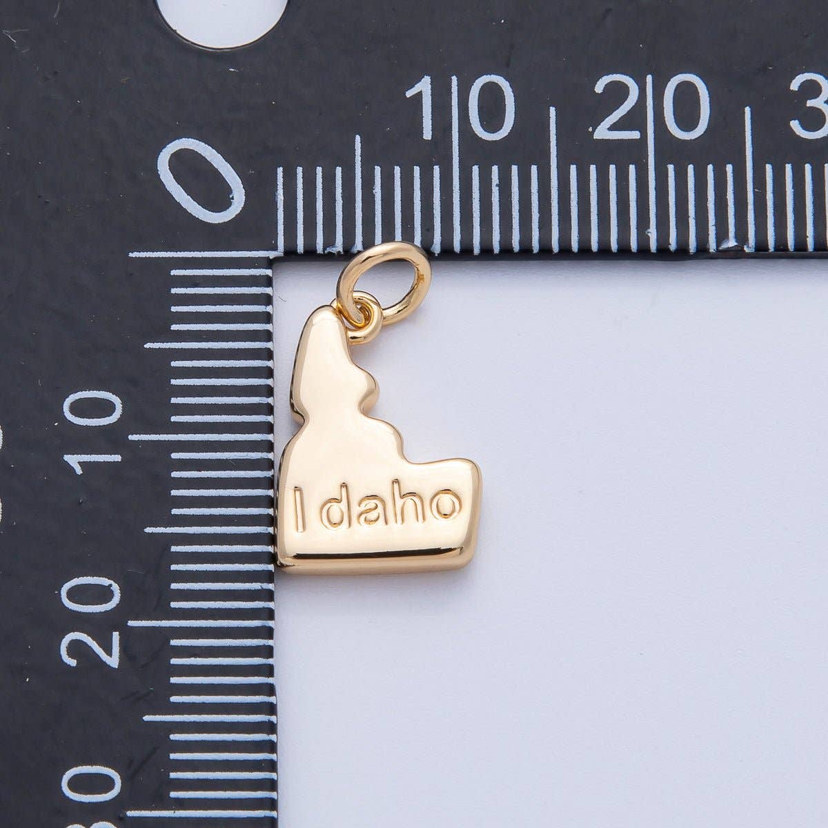 18K Gold Filled United States of America State Map Charm in Gold & Silver | AK064 - AK113: SILVER / 49. Texas