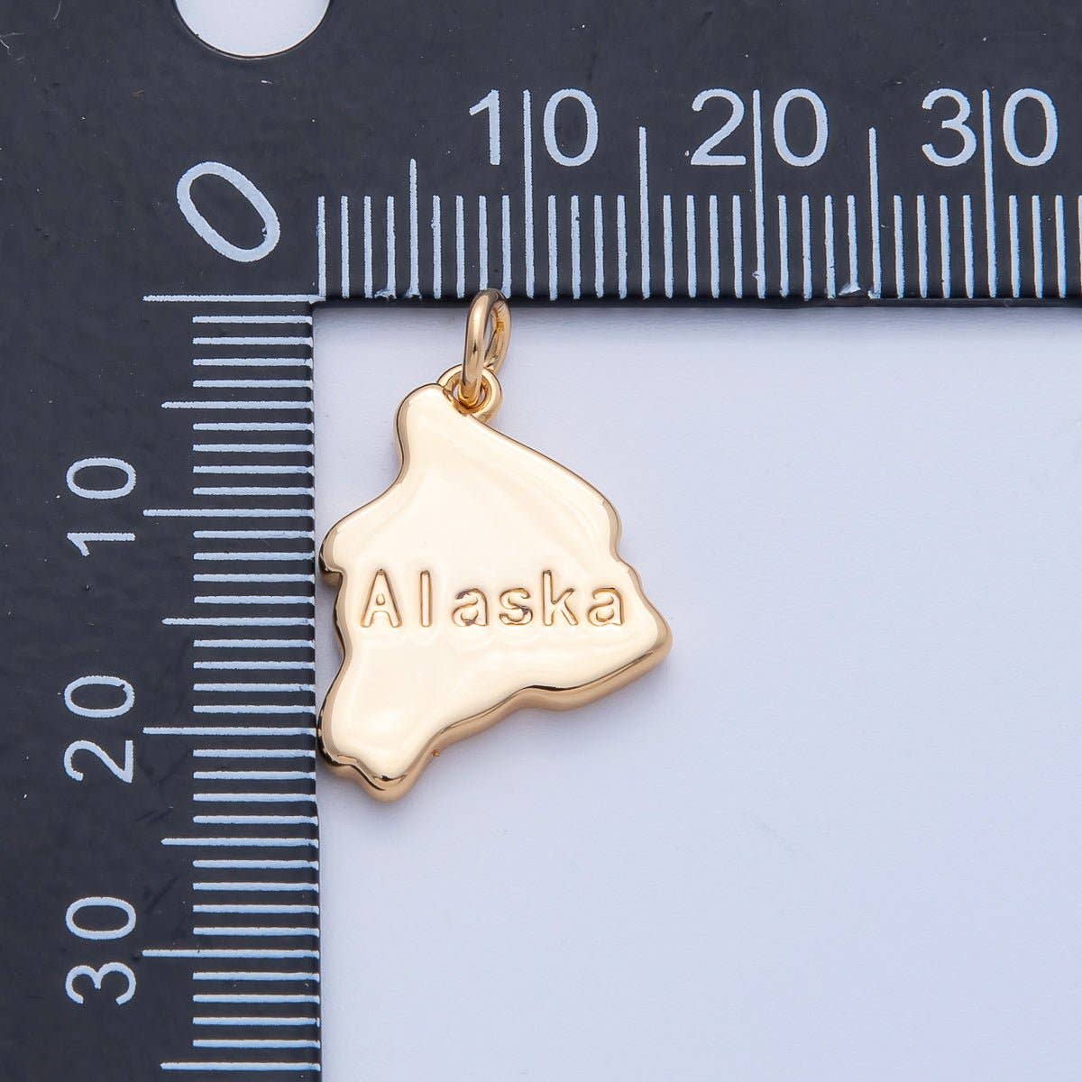 18K Gold Filled United States of America State Map Charm in Gold & Silver | AK064 - AK113: SILVER / 49. Texas