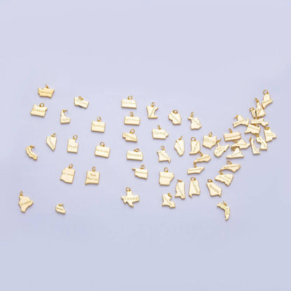 18K Gold Filled United States of America State Map Charm in Gold & Silver | AK064 - AK113: SILVER / 49. Texas