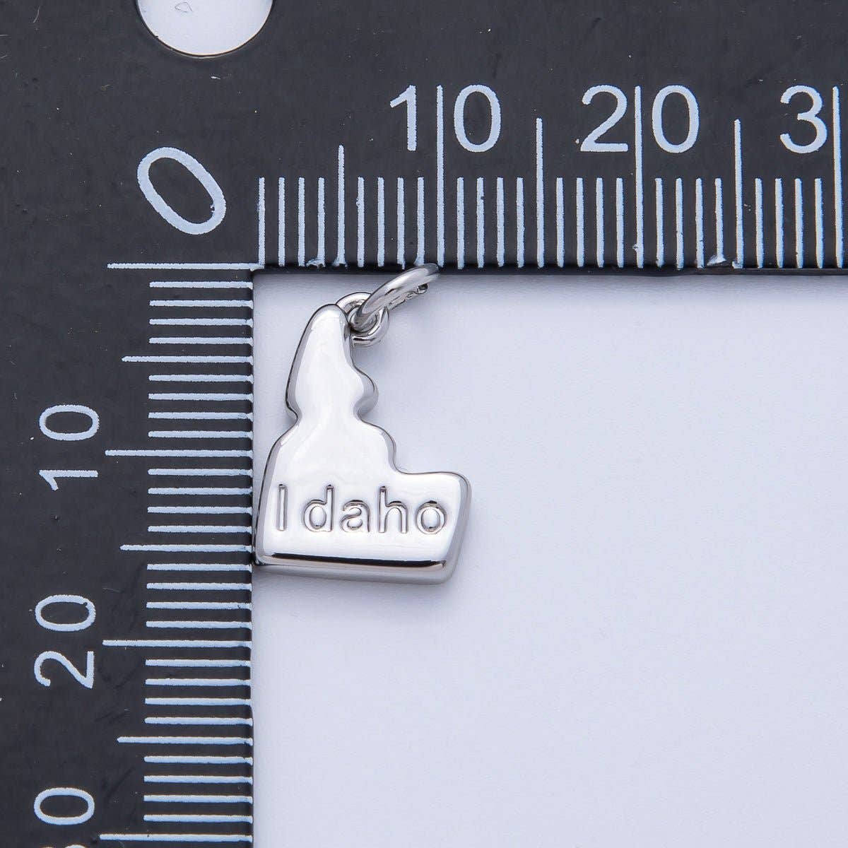 18K Gold Filled United States of America State Map Charm in Gold & Silver | AK064 - AK113: SILVER / 49. Texas