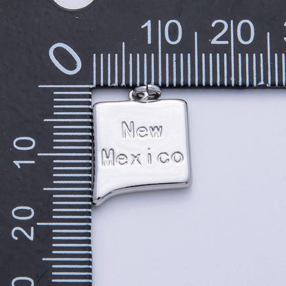 18K Gold Filled United States of America State Map Charm in Gold & Silver | AK064 - AK113: SILVER / 49. Texas