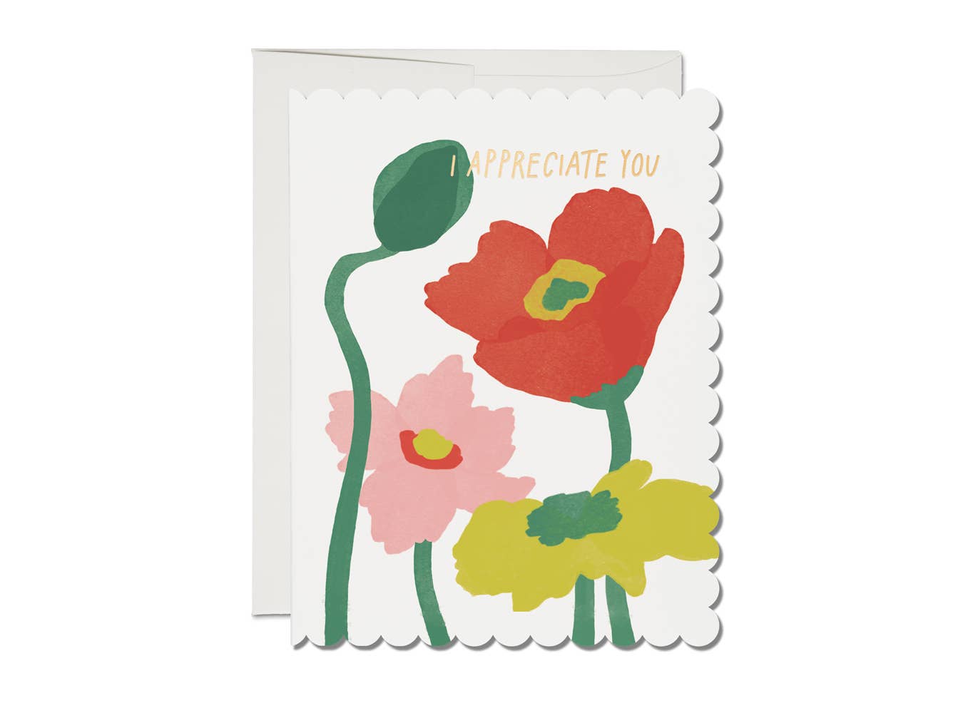 Scalloped Poppy thank you greeting card: Singles