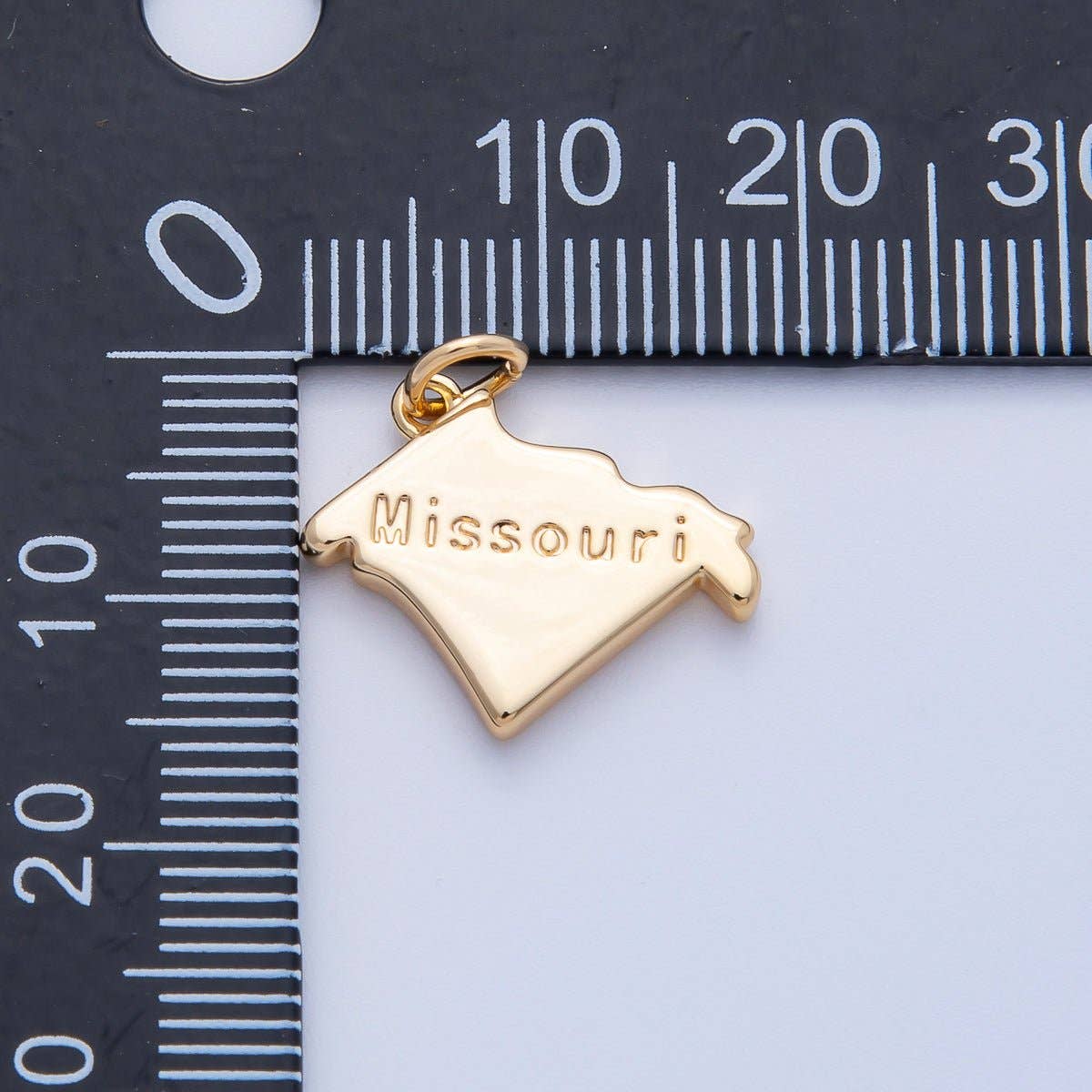 18K Gold Filled United States of America State Map Charm in Gold & Silver | AK064 - AK113: SILVER / 49. Texas