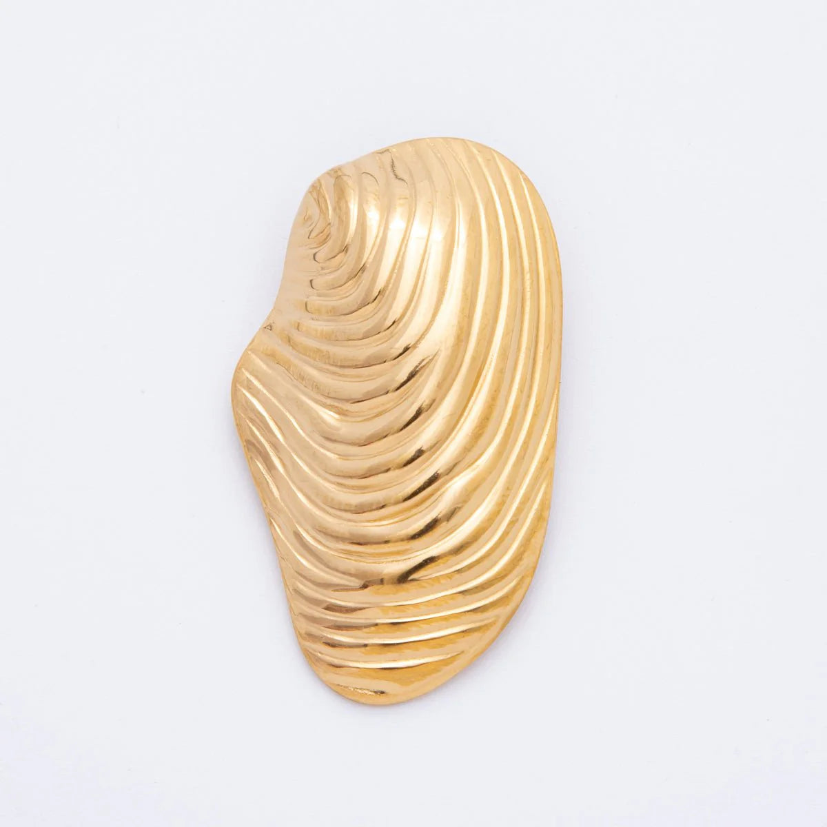 Waved Gold Conch Sea Shell
